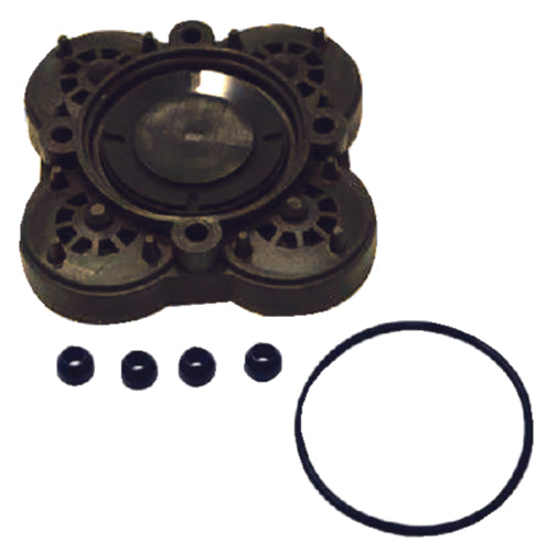 Flojet-20407030-check-valve-kit